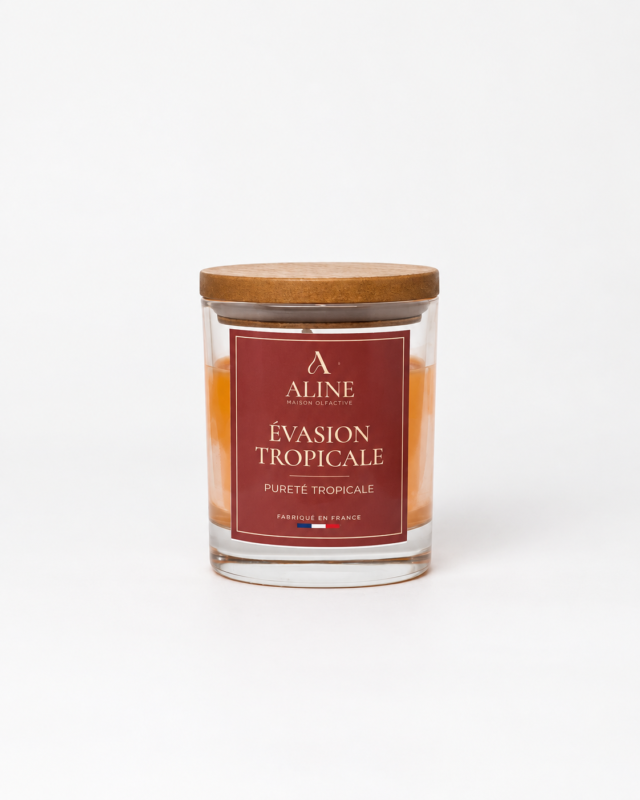 Bougie parfumée Évasion Tropicale en moyen pot (120 g) – Maison Aline