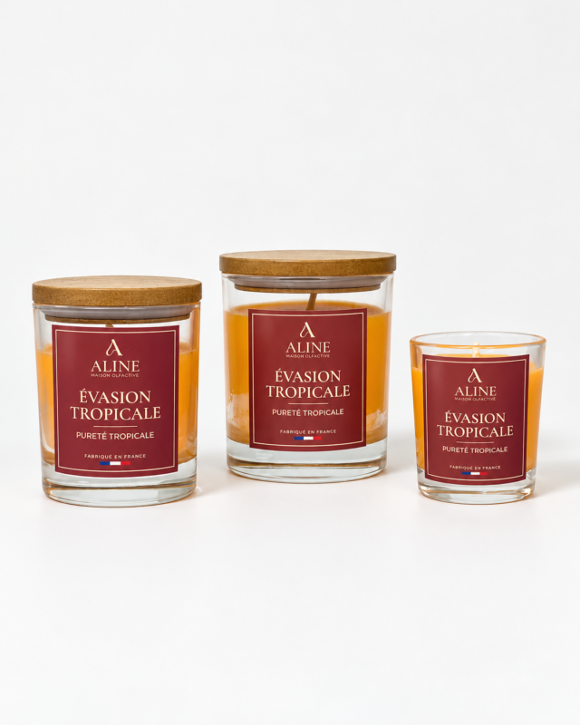 Bougie parfumée Évasion Tropicale : les trois formats – Maison Aline